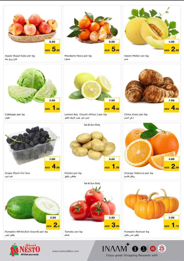 NESTO-Offers-New-Industrial-Area-June-27-2024-9