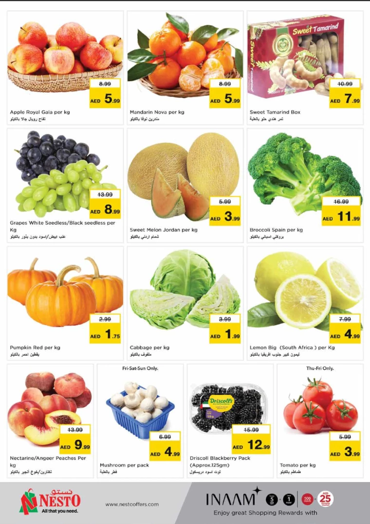 NESTO-Promotions-Hamidiya-1&Al-Raqaib-June-28-2024-20