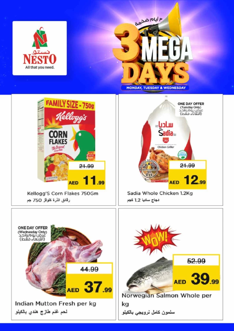 NESTO-Offers-Hamidiya-1&Al-Raqaib-July-9-2024-1
