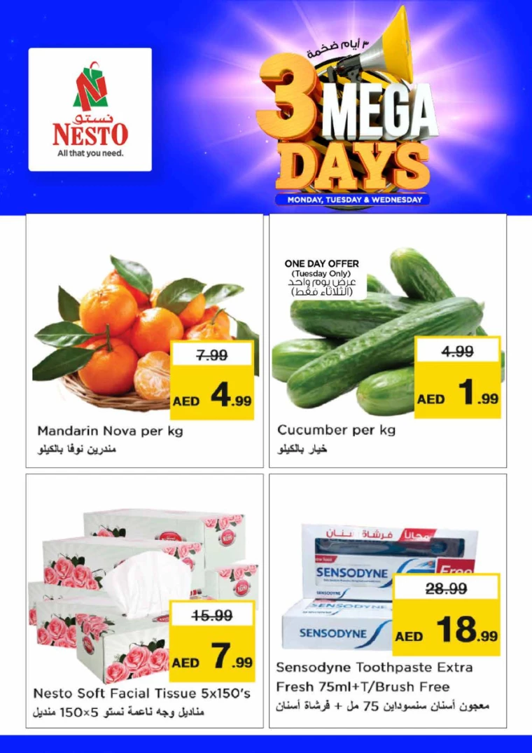NESTO-Offers-Hamidiya-1&Al-Raqaib-July-9-2024-2