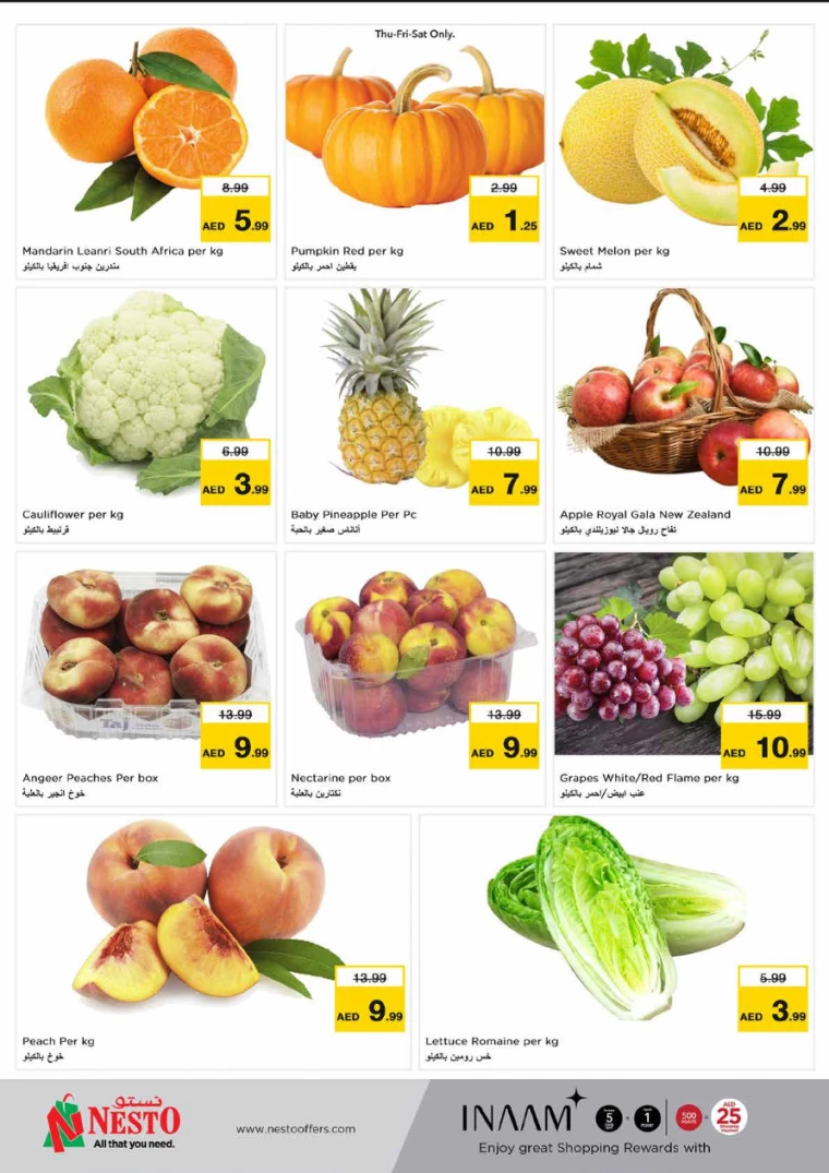 NESTO-Offers-Hamidiya-1&Al-Raqaib-July-13-2024-21