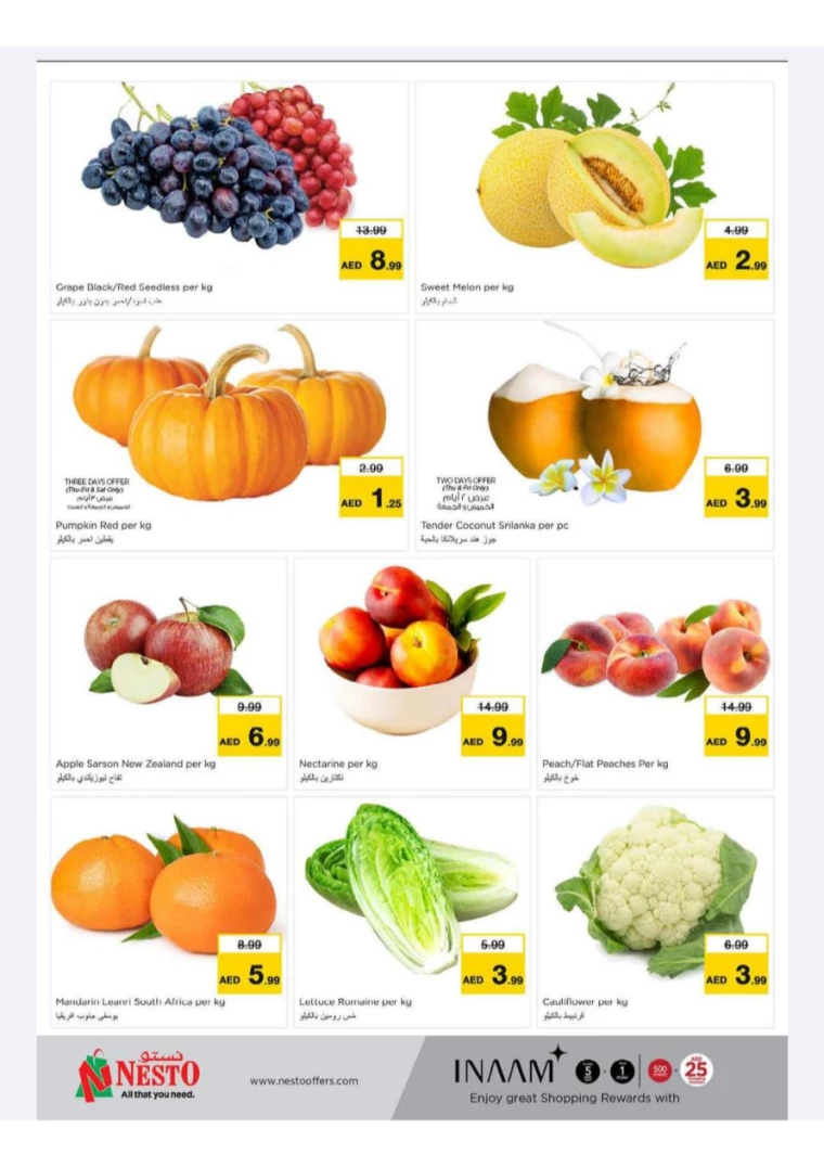 NESTO-Offers-New-Industrial-Area-July-14-2024-12