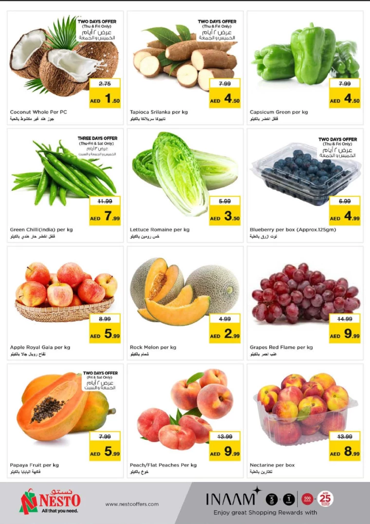 NESTO-Offers-Al-Fahidi-July-18-2024-13