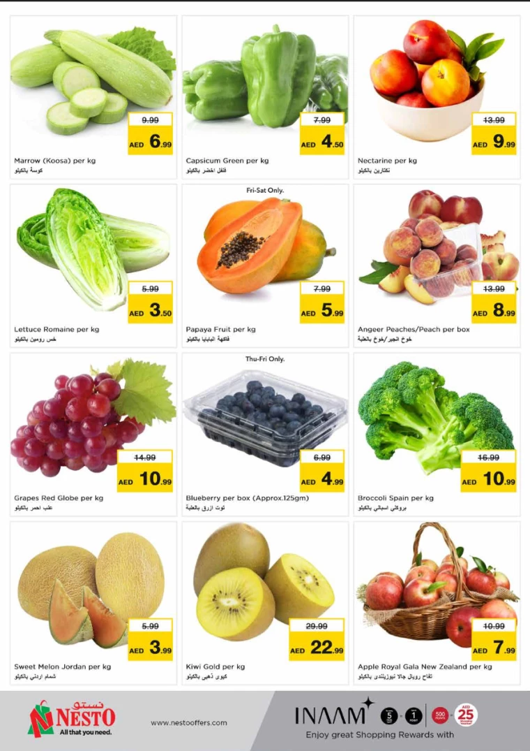 NESTO-Discounts-Hamidiya-1&Al-Raqaib-July-20-2024-14