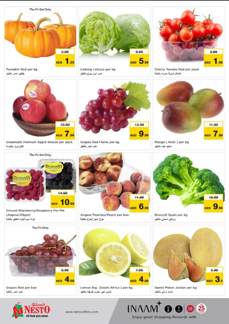 NESTO-Discounts-Hamidiya-1&Al-Raqaib-July-25-2024-20