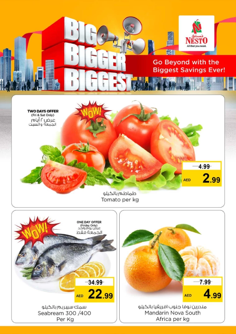 NESTO-Promotions-Hamidiya-1&Al-Raqaib-July-26-2024-3