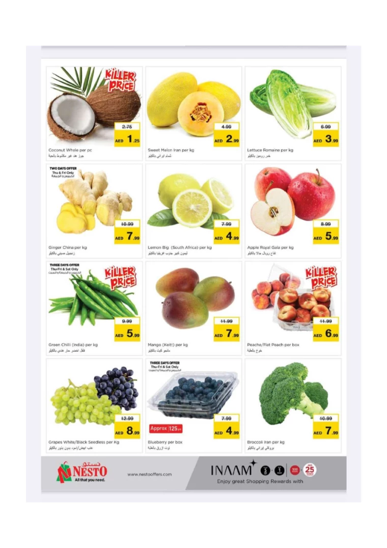 NESTO-Offers-New-Industrial-Area-July-25-2024-6