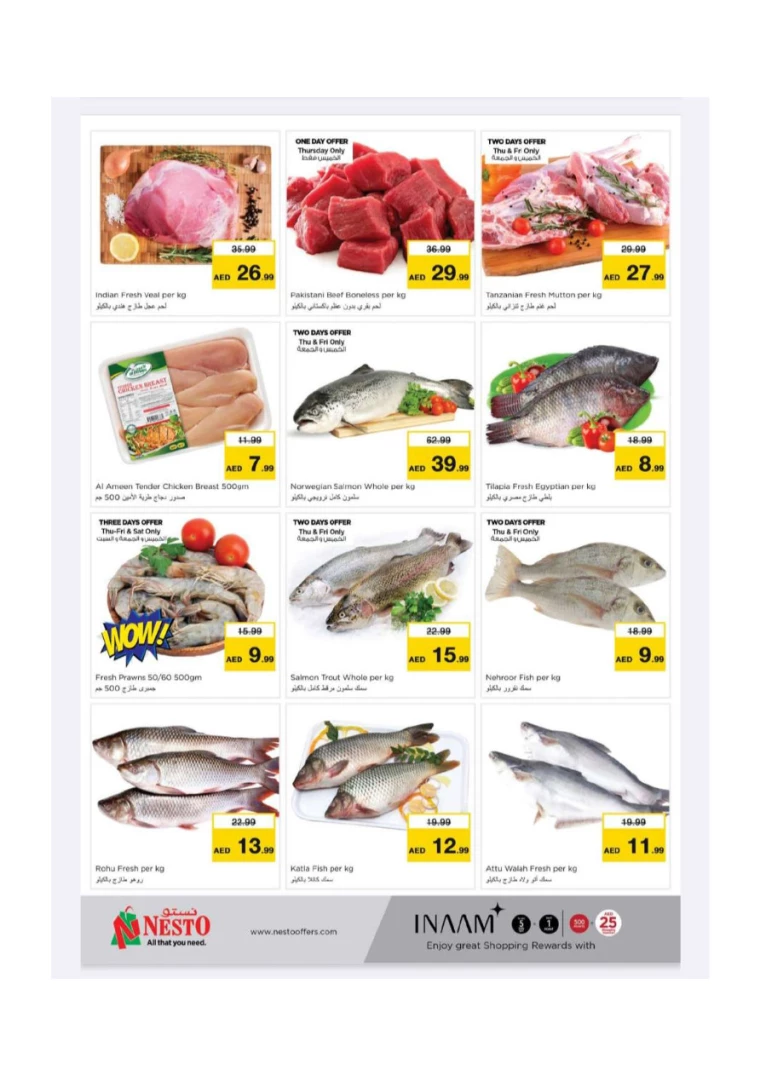 NESTO-Offers-New-Industrial-Area-July-25-2024-7