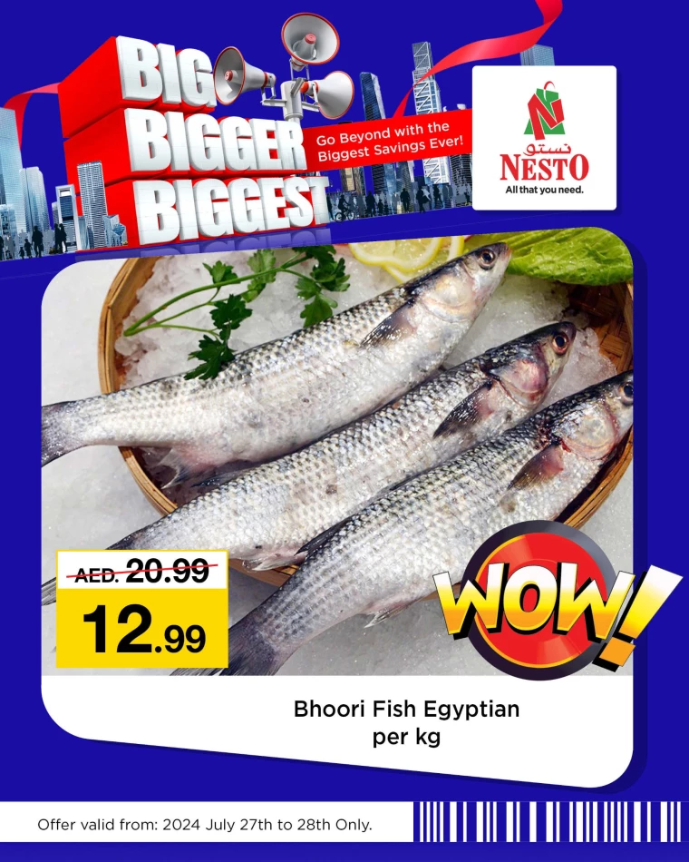 NESTO-Discounts-All-Branches-July-27-2024-28-1