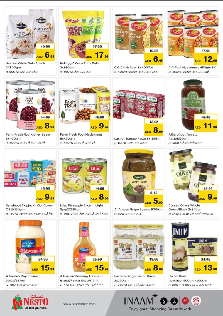 NESTO-Discounts-Hamidiya-1&Al-Raqaib-August-9-2024-3