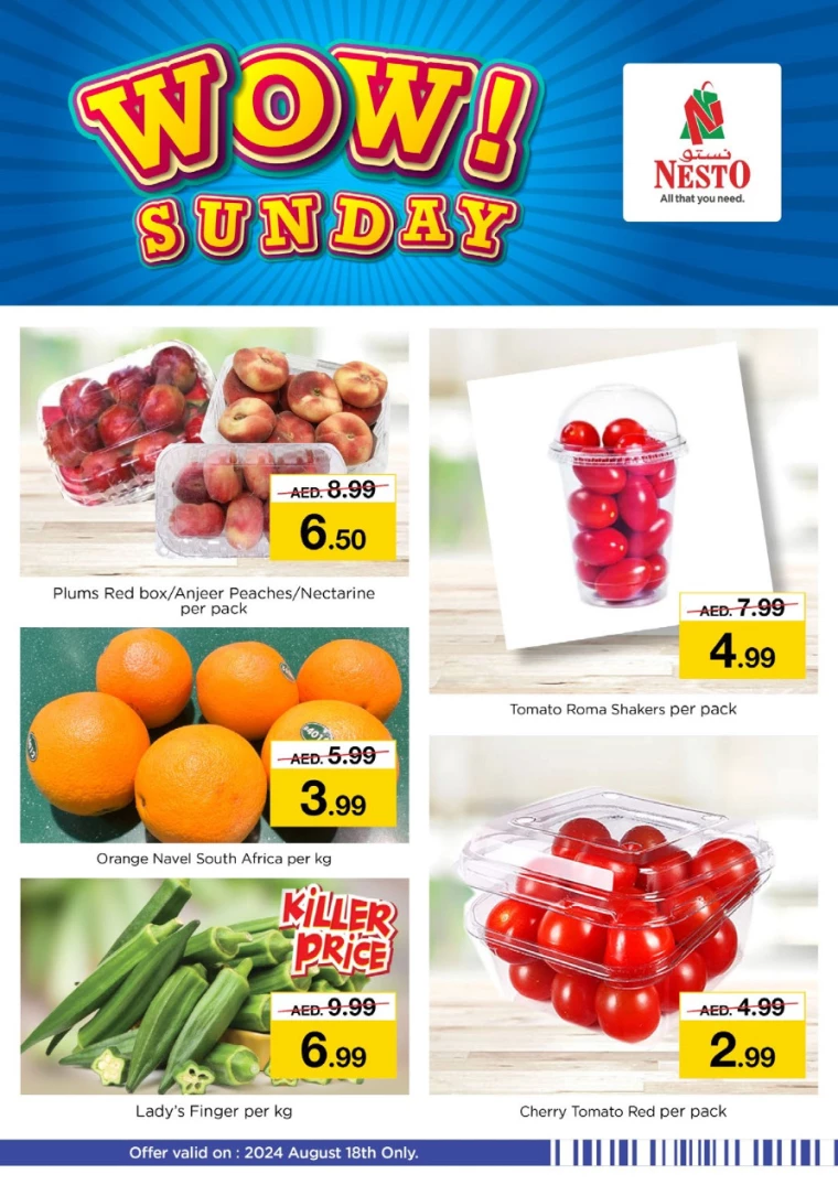 NESTO-Offers-Hamidiya-1&Al-Raqaib-August-18-2024-1