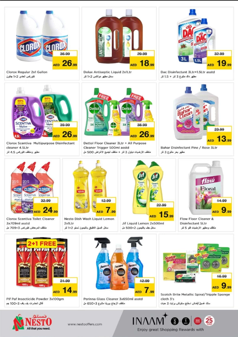 NESTO-Offers-All-Branches-August-29-2024-25