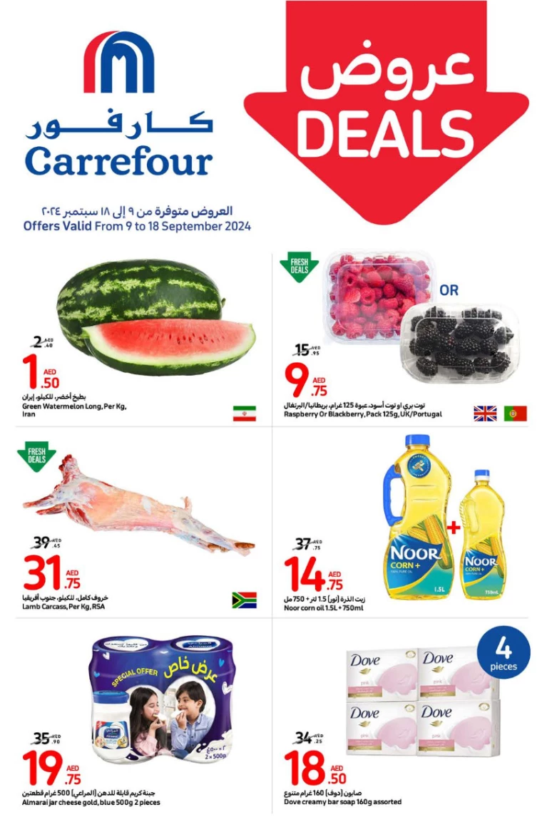 Carrefour-Promotions-All-Branches-September-9-2024-18-0