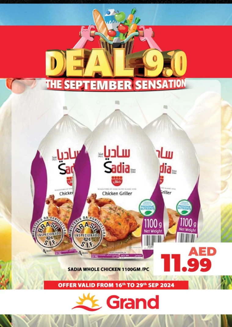 Grand-Hypermarket-Deals-All-Branches-September-16-2024-29-2