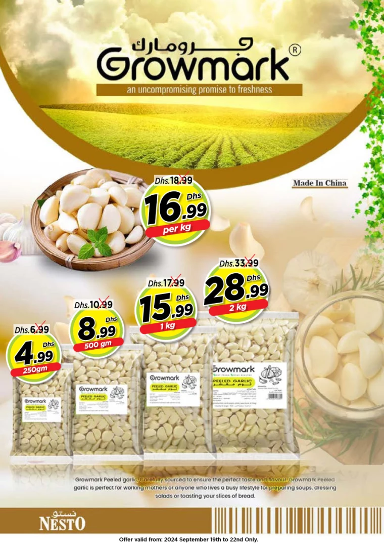 NESTO-Offers-All-Branches-September-19-2024-22-0