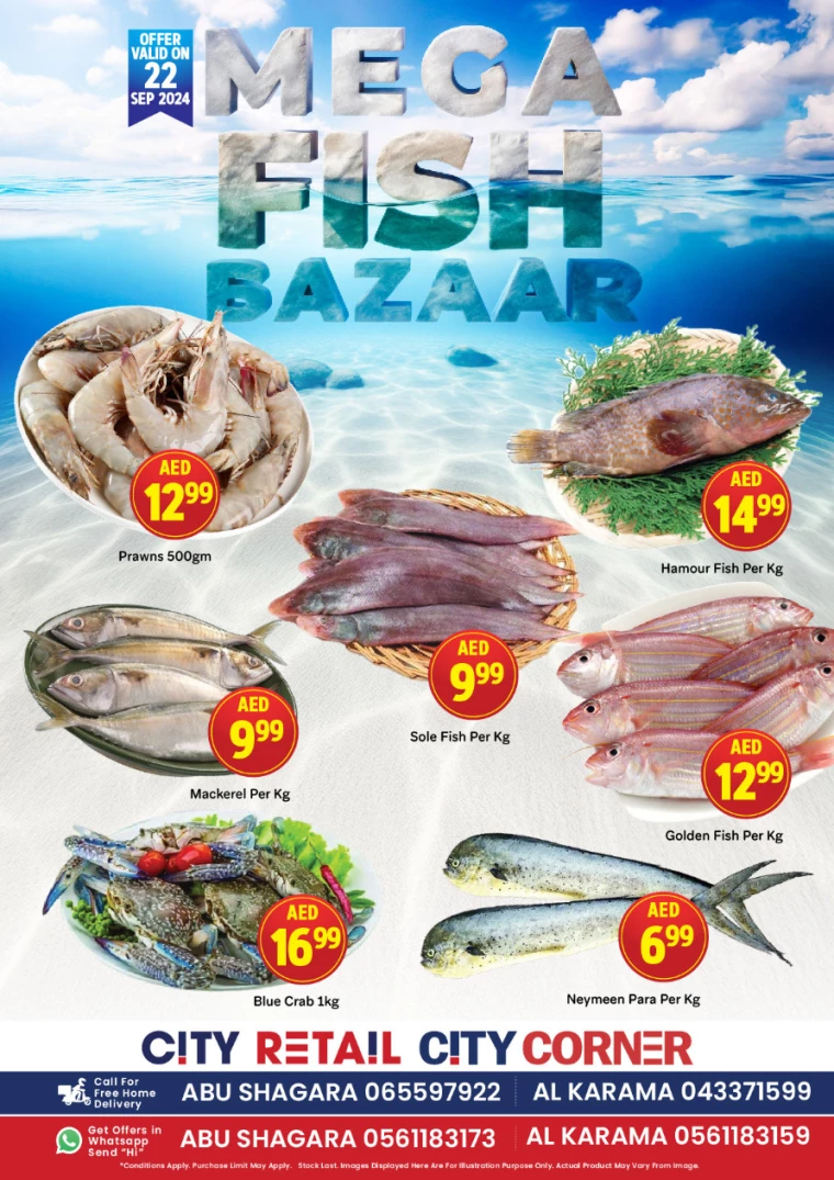 Sunset in the mountains - 0