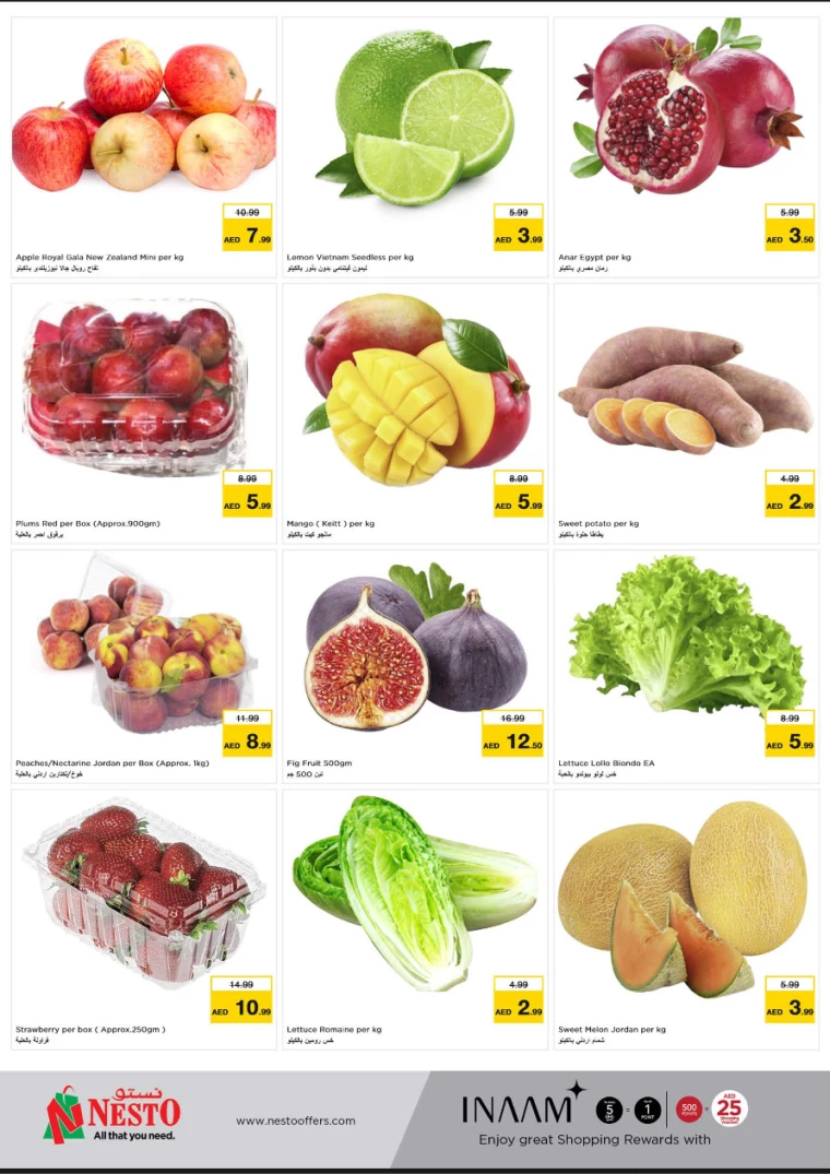 NESTO-Deals-Jurf-September-23-2024-10