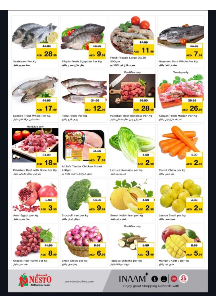 NESTO-Offers-New-Industrial-Area-September-30-2024-6