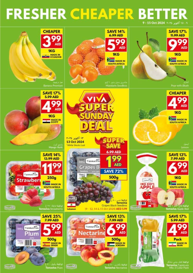 viva-Deals-All-Branches-October-9-2024-1