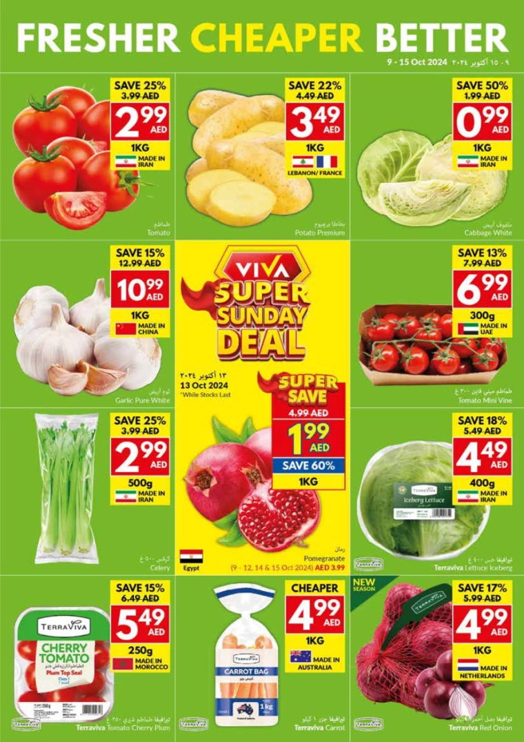 viva-Deals-All-Branches-October-9-2024-2