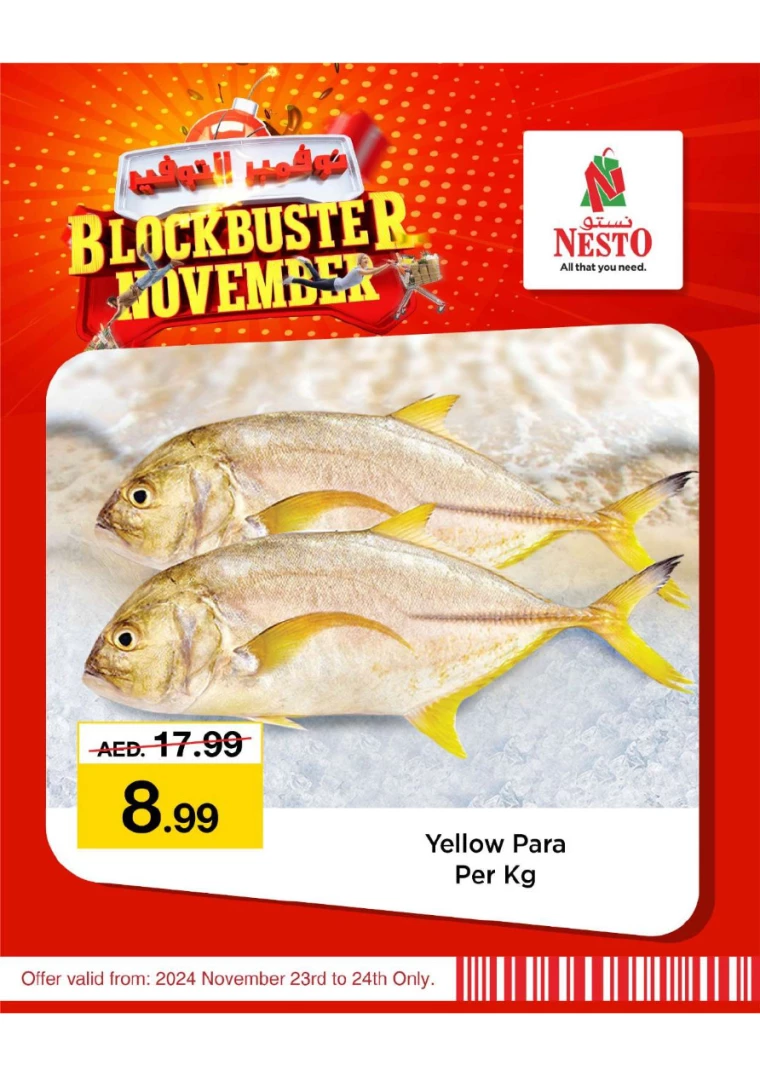 NESTO-Offers-All-Branches-November-23-2024-4