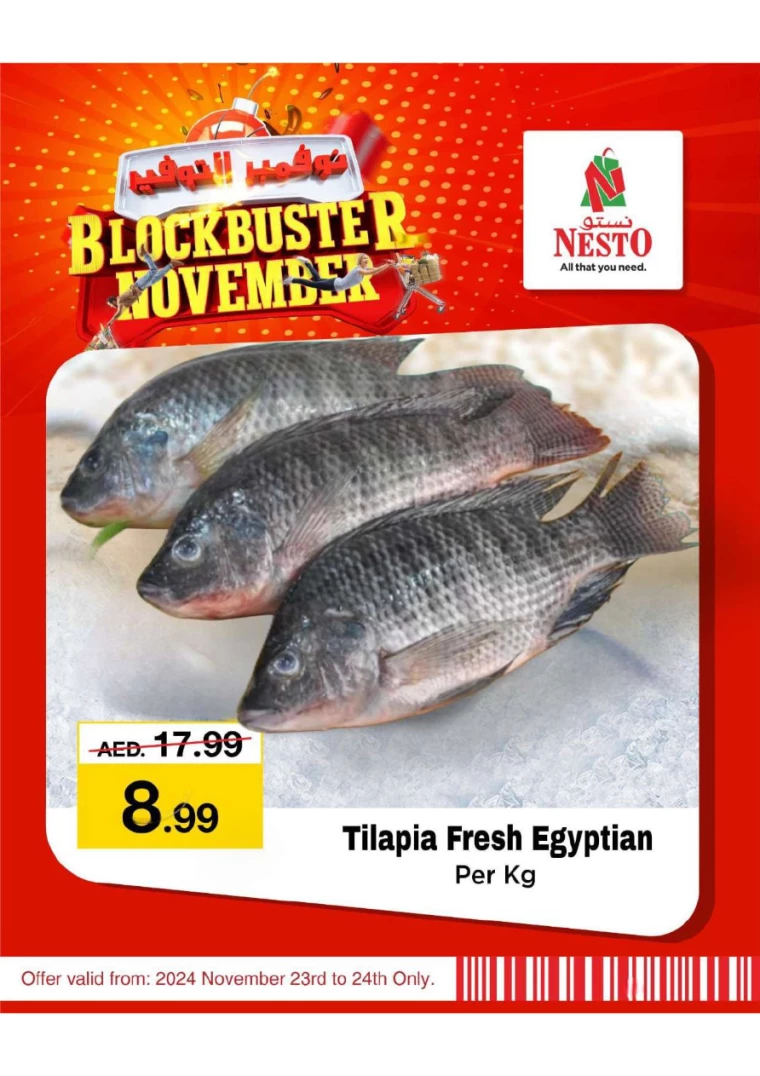 NESTO-Offers-All-Branches-November-23-2024-6