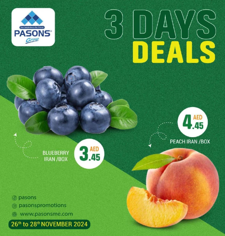 Pasons-Promotions-All-Branches-November-28-2024-1