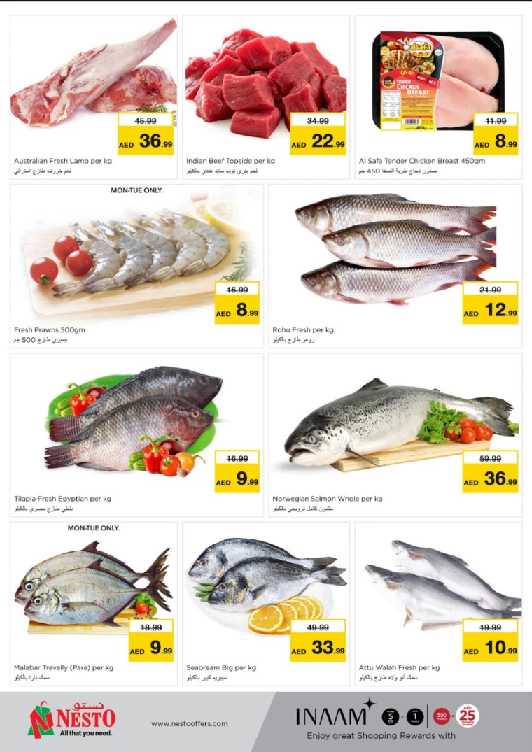 NESTO-Offers-Hamidiya-1&Al-Raqaib-December-2-2024-10