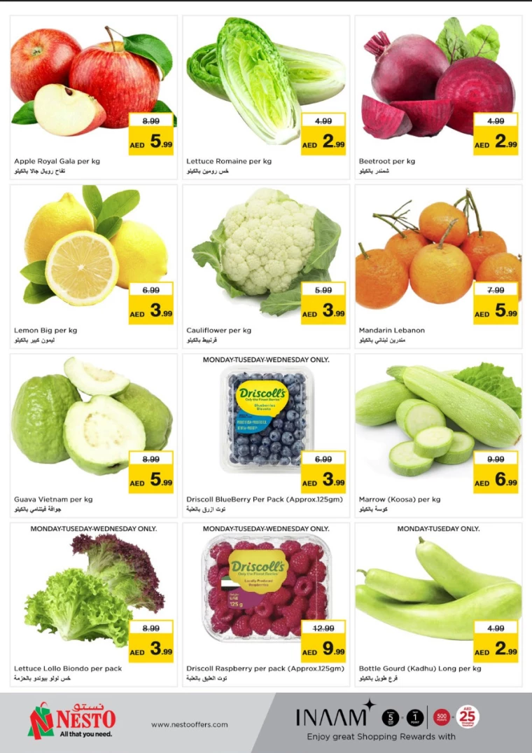 NESTO-Offers-Hamidiya-1&Al-Raqaib-December-2-2024-11