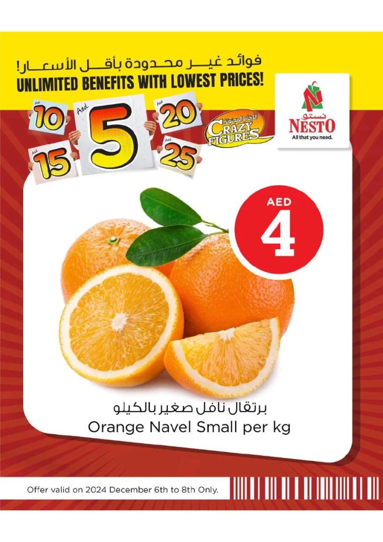 NESTO-Deals-All-Branches-December-8-2024-8
