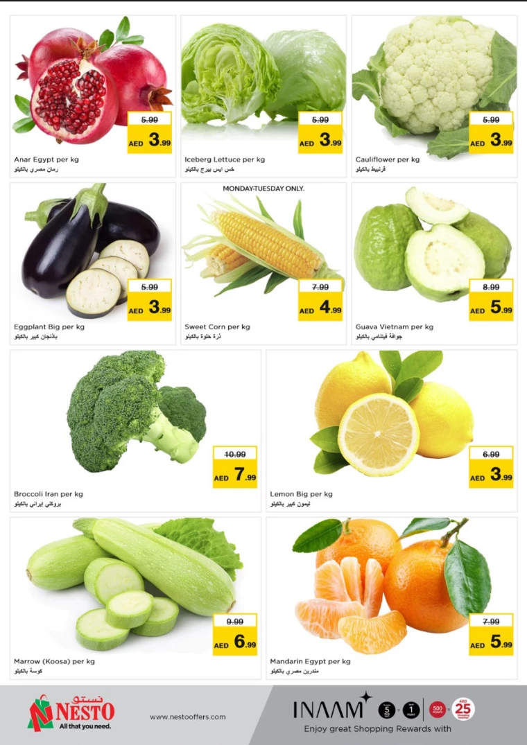 NESTO-Discounts-Hamidiya-1&Al-Raqaib-December-9-2024-12