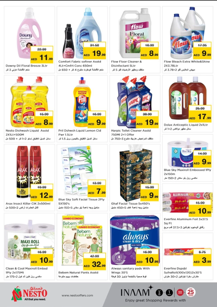 NESTO-Offers-Karama-December-12-2024-11