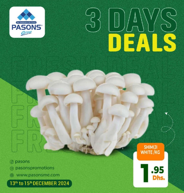 Pasons-Deals-All-Branches-December-13-2024-4