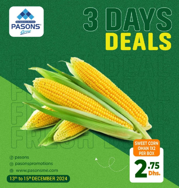 Pasons-Deals-All-Branches-December-13-2024-5