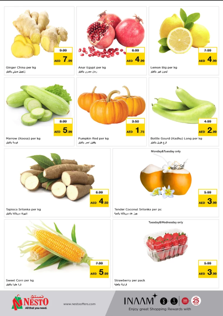 NESTO-Offers-Al-Nuaimiya-December-23-2024-5