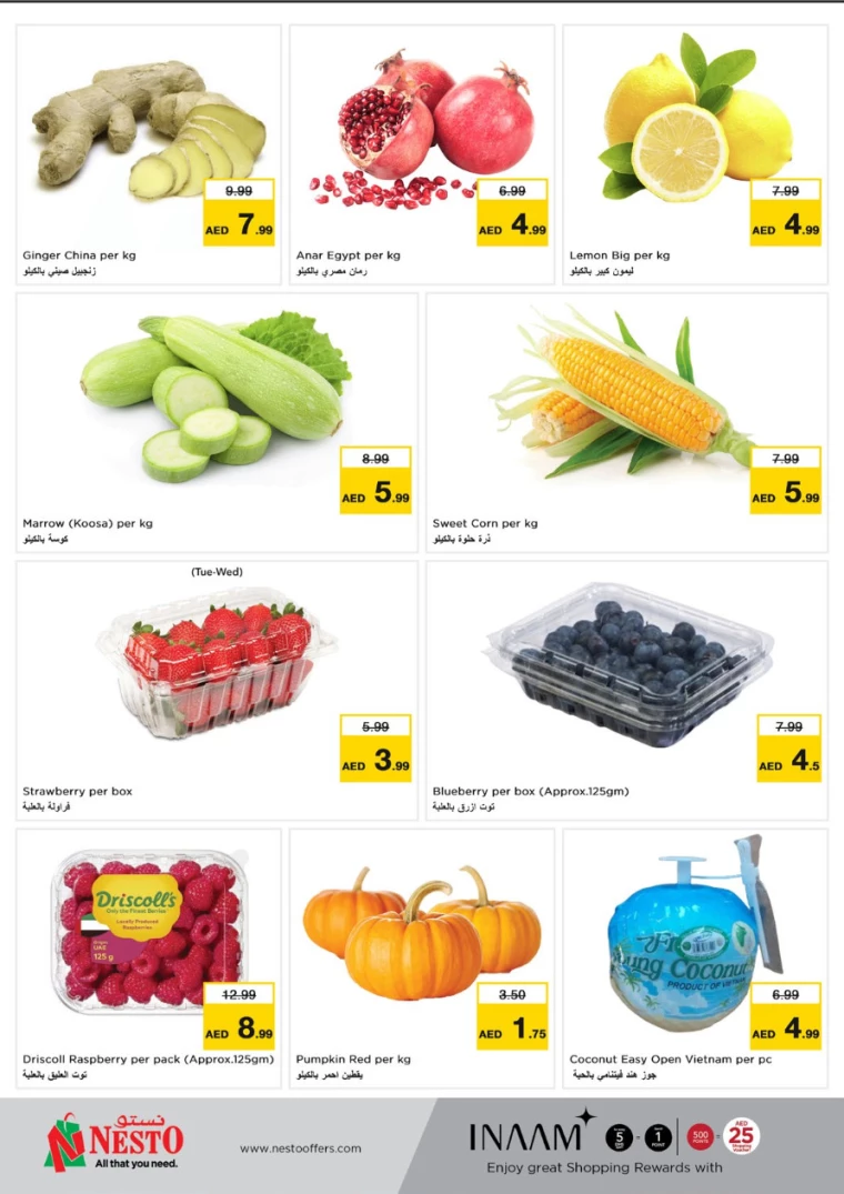 NESTO-Discounts-All-Branches-December-23-2024-9