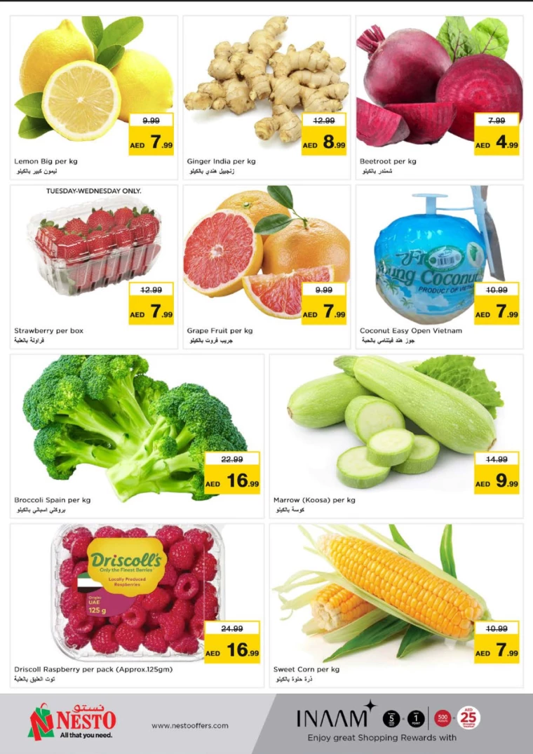 NESTO-Offers-Circle-Mall-December-23-2024-11