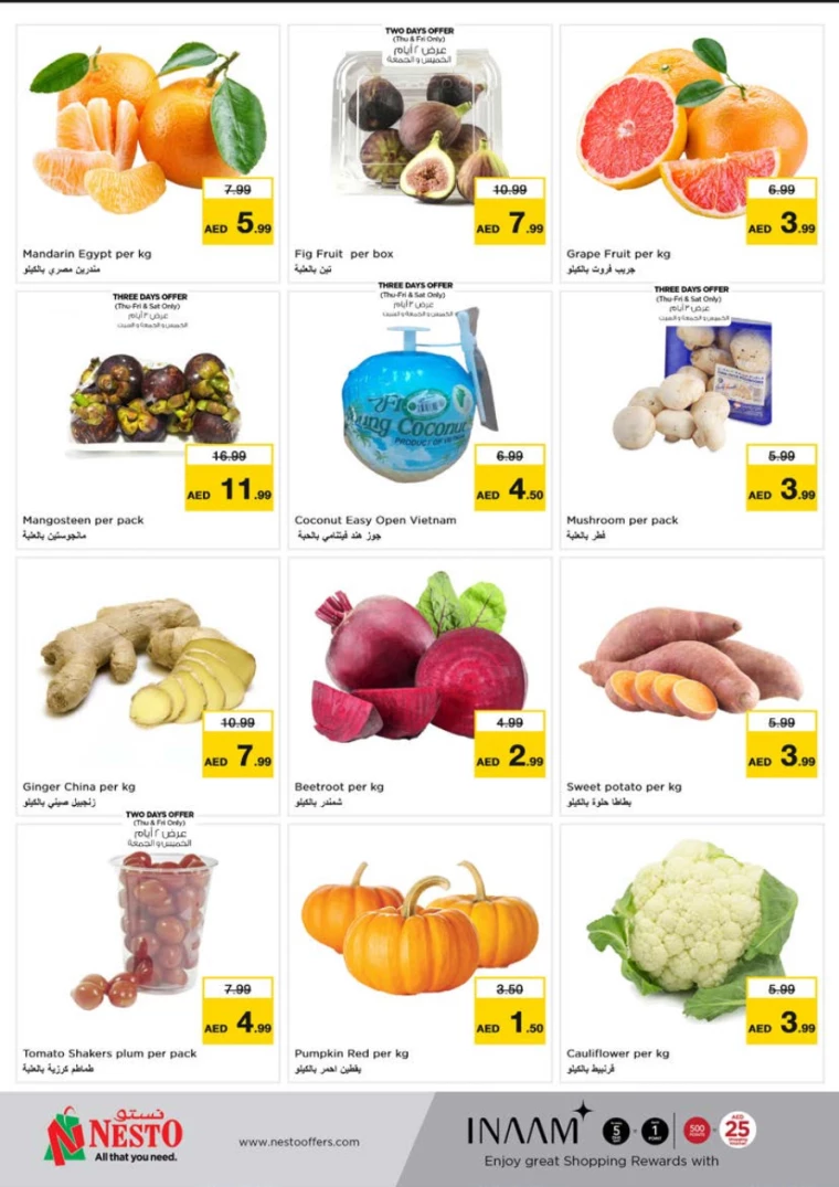 NESTO-Offers-Al-Tallah-December-26-2024-19