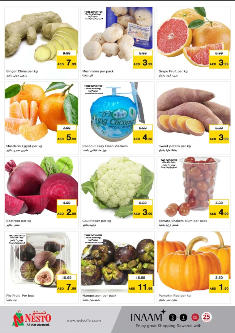 NESTO-Offers-Hamidiya-1&Al-Raqaib-December-26-2024-20