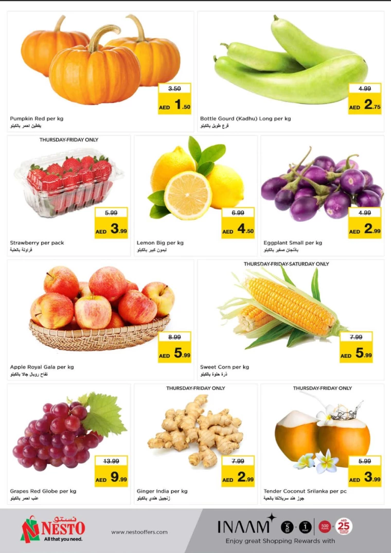 NESTO-Offers-Al-Fahidi-January-2-2025-17