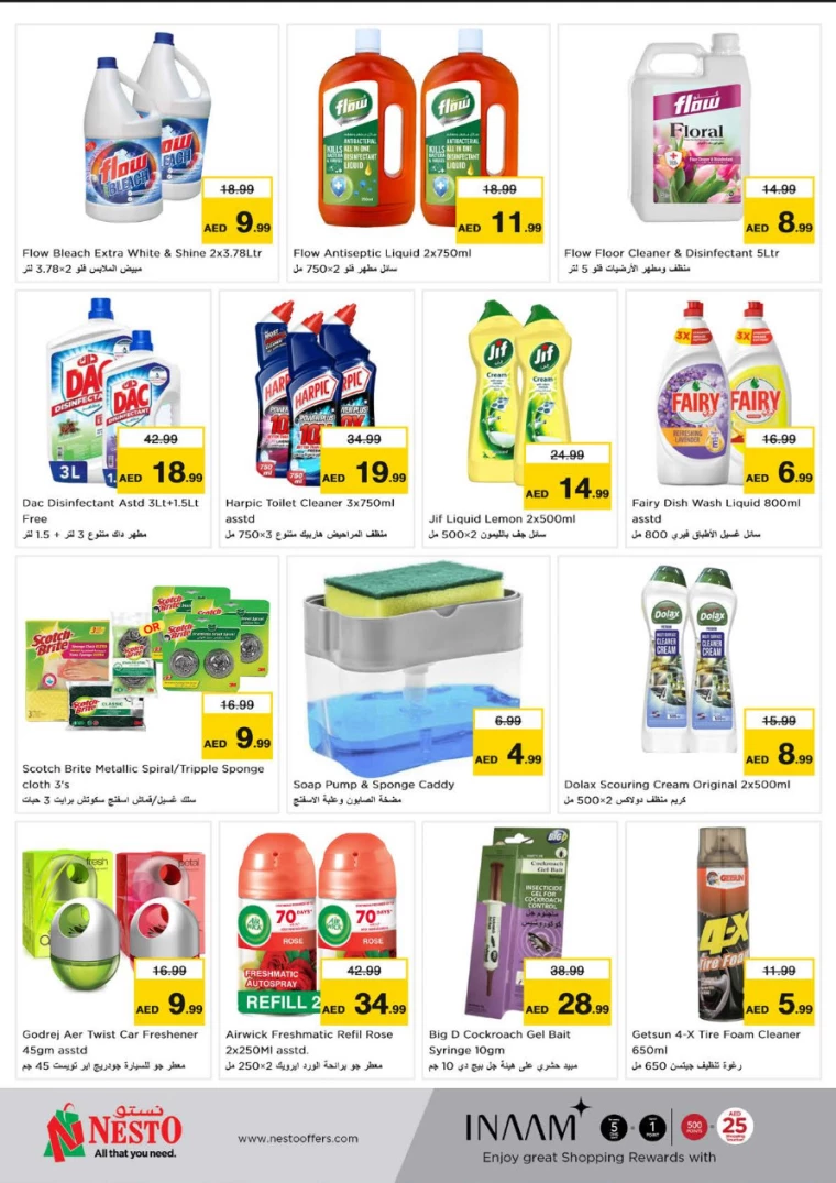 NESTO-Deals-Circle-Mall-January-2-2025-19