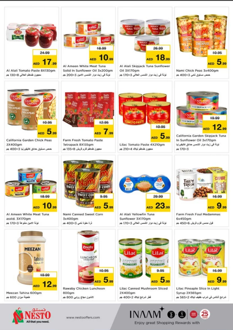 NESTO-Discounts-Al-Tallah-January-9-2025-5