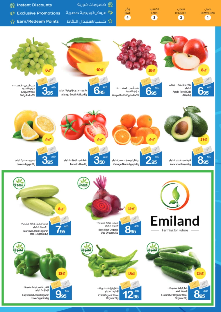 Ajman-Markets-Cooperative-Offers-All-Branches-January-10-2025-1