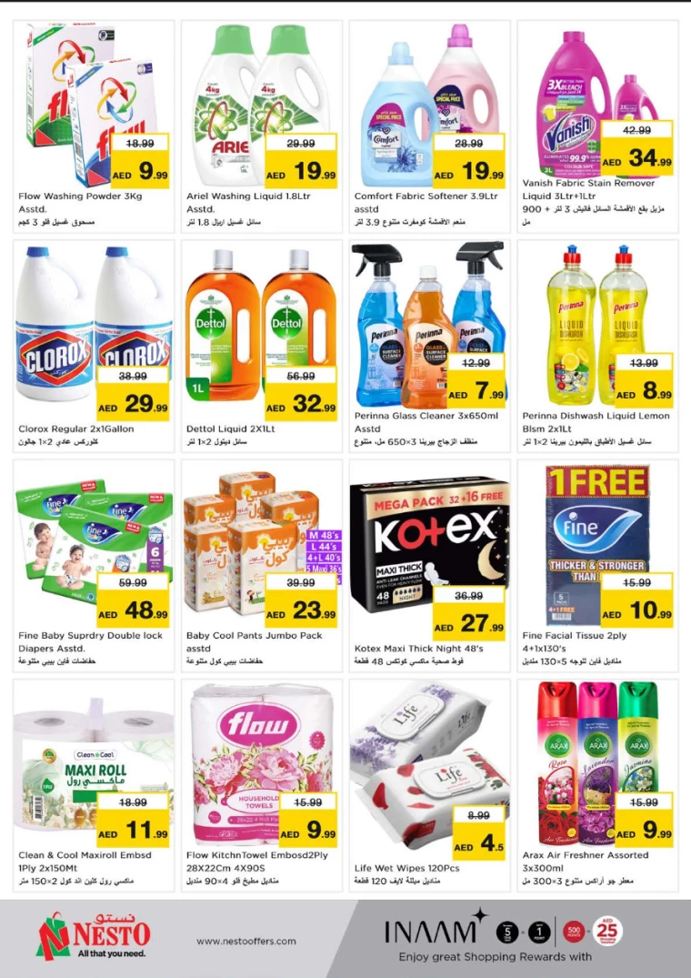 NESTO-Offers-Hamidiya-1&Al-Raqaib-January-13-2025-7