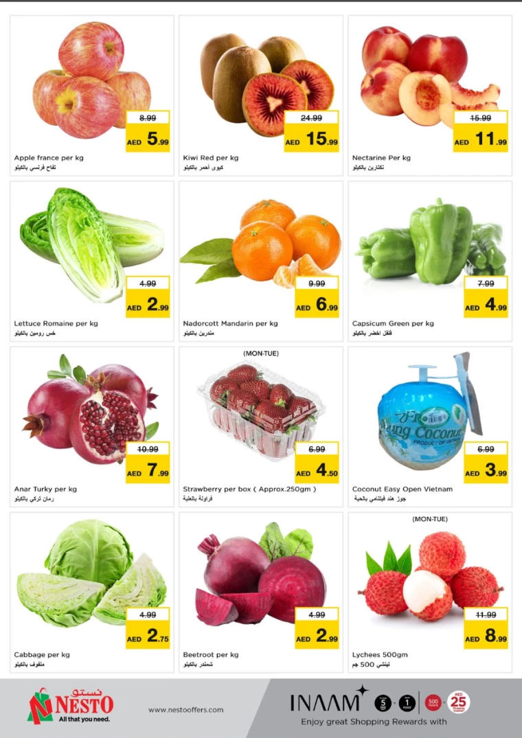 NESTO-Offers-All-Branches-January-13-2025-9