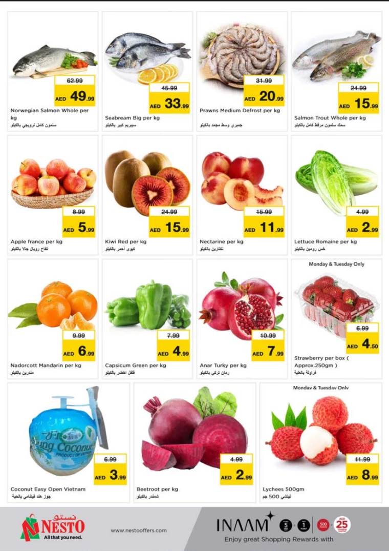 NESTO-Discounts-Al-Tallah-January-13-2025-3