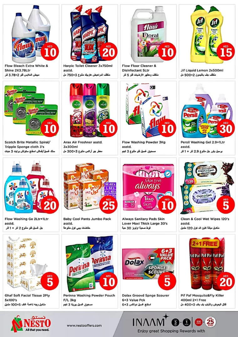 NESTO-Offers-Alnabba-January-17-2025-14