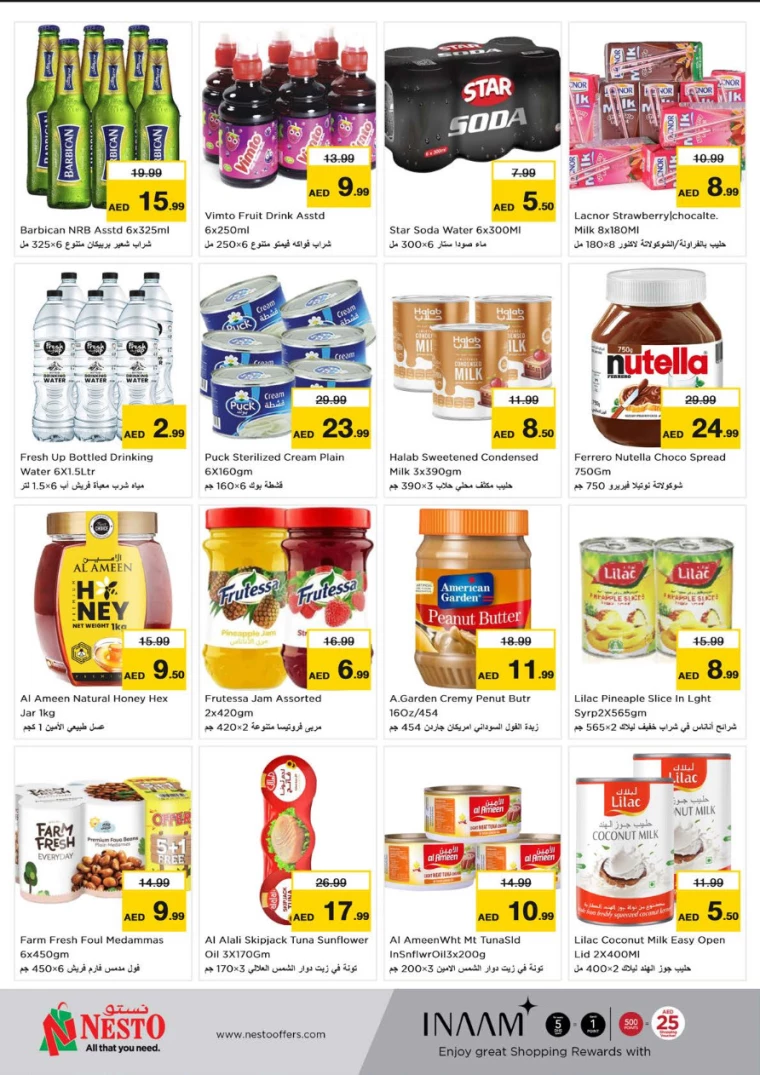 NESTO-Promotions-Hamidiya-1&Al-Raqaib-January-23-2025-3