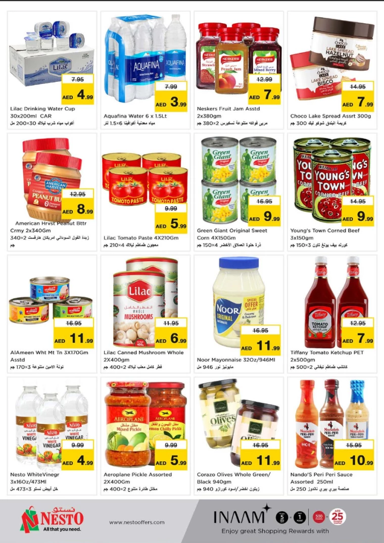 NESTO-Promotions-Al-Fahidi-January-23-2025-3