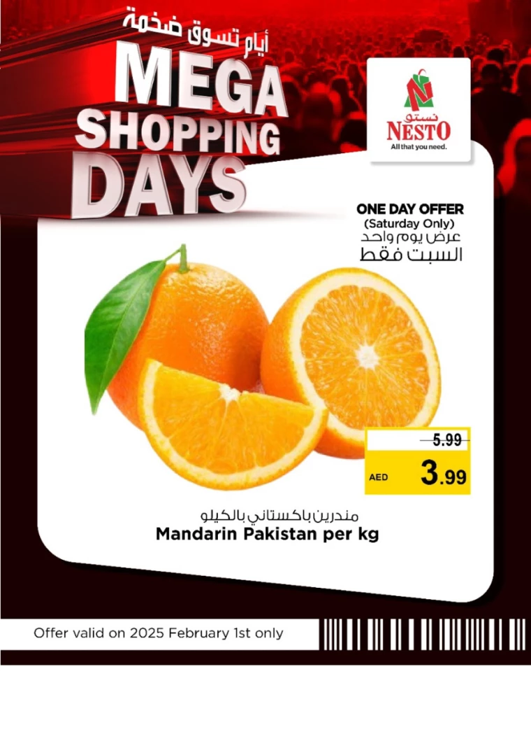 NESTO-Promotions-All-Branches-January-30-2025-2-1